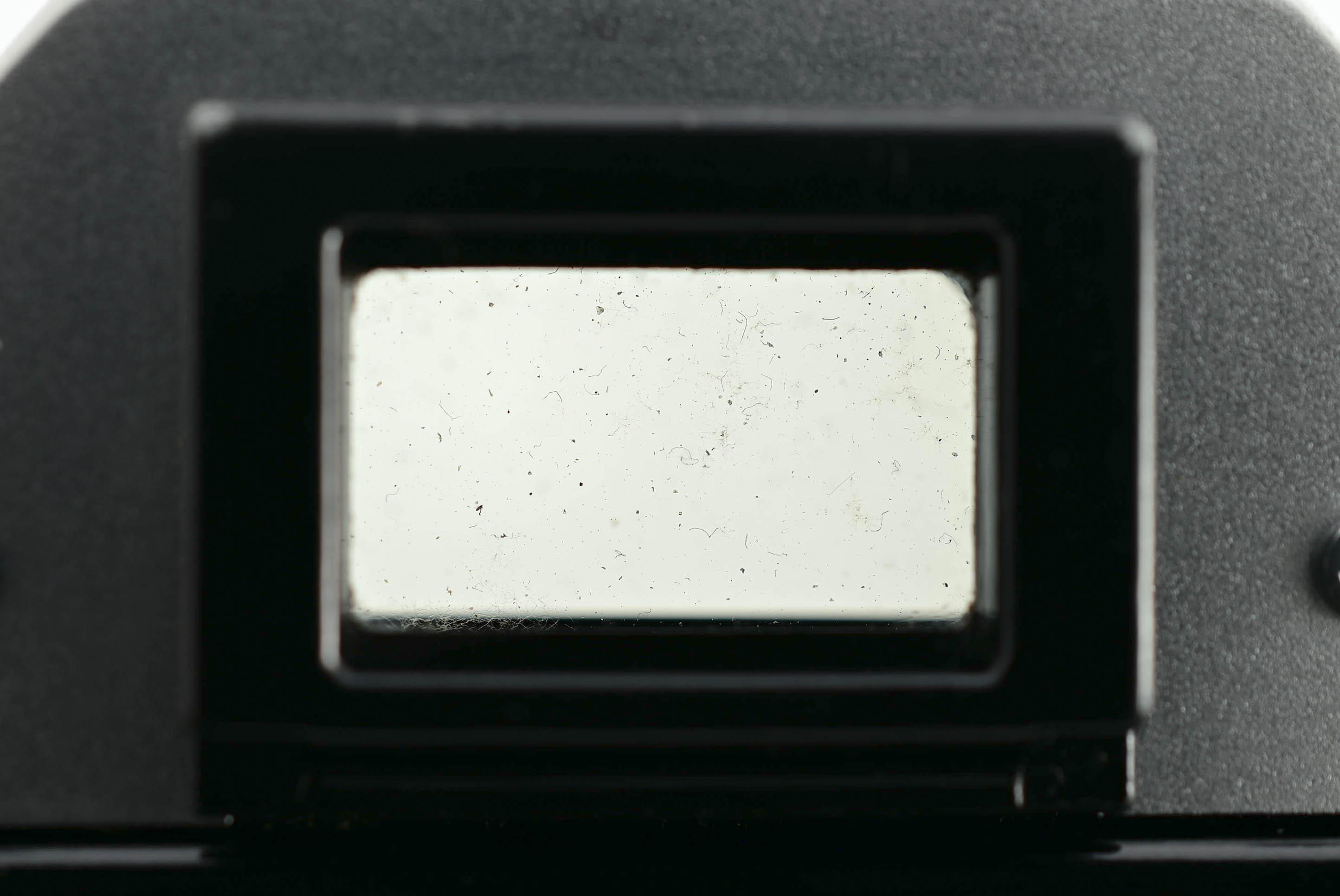 Canon AE-1 + FD 50mm f/1.4 S.S.C. photo - Image 28